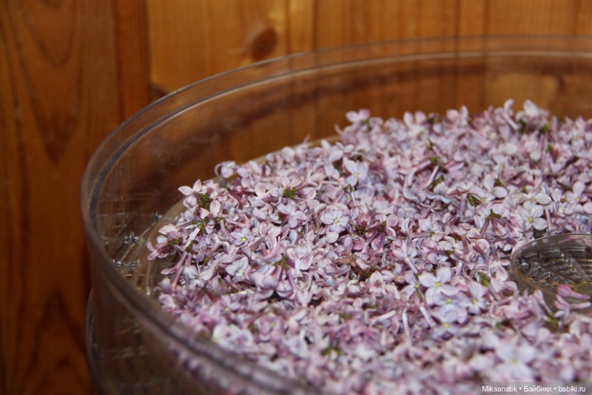 Вот оно какое наше лето — Фотоистории с куклами BJD (БЖД): сериалы (фото 7)