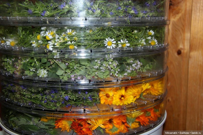 Вот оно какое наше лето — Фотоистории с куклами BJD (БЖД): сериалы