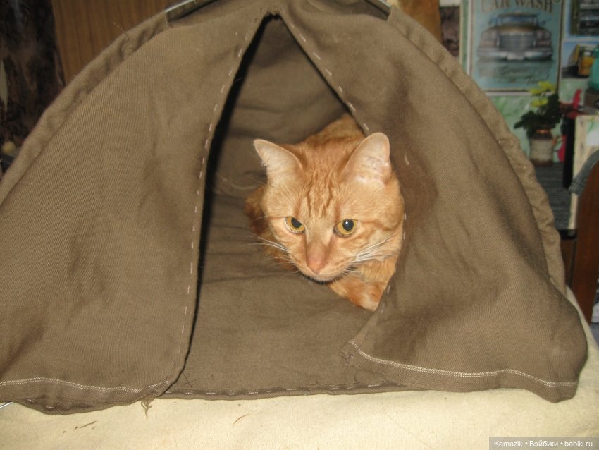 2 туриста. Домашние фото — Разные шарнирные куклы (не БЖД): редкие