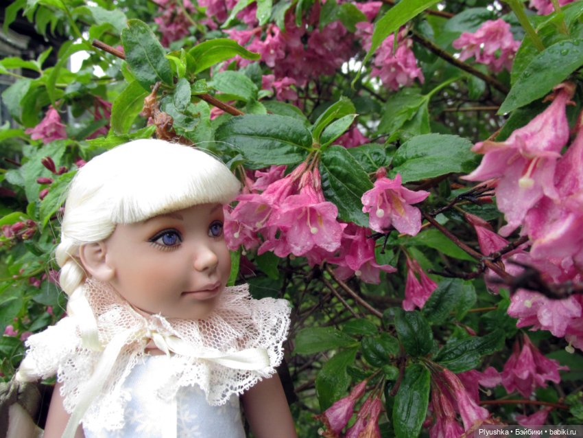 Сирень в цвету. Когда идёт дождь. И когда светит солнце