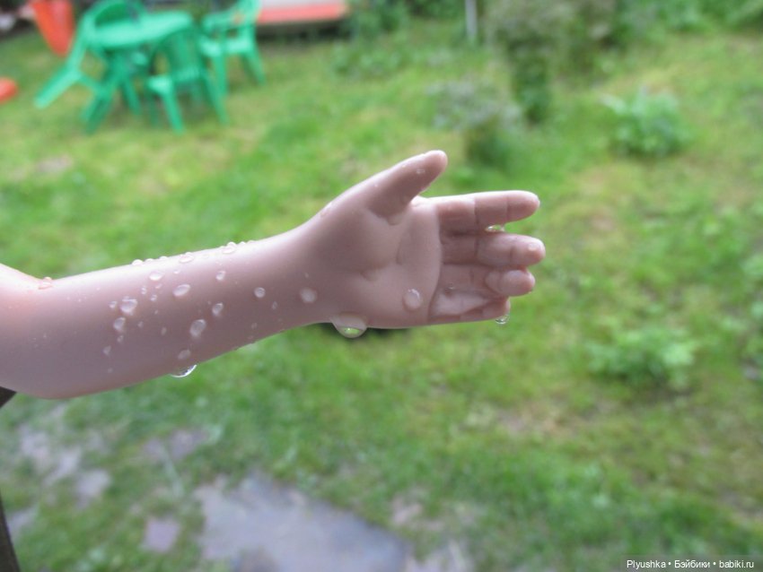 Сирень в цвету. Когда идёт дождь. И когда светит солнце (фото 3)