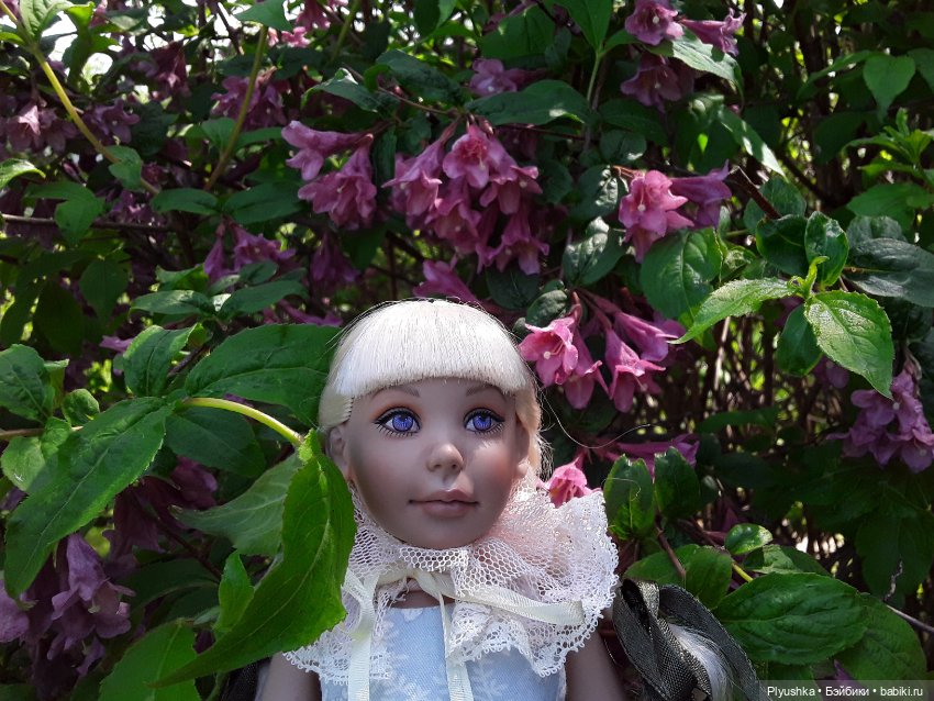 Сирень в цвету. Когда идёт дождь. И когда светит солнце