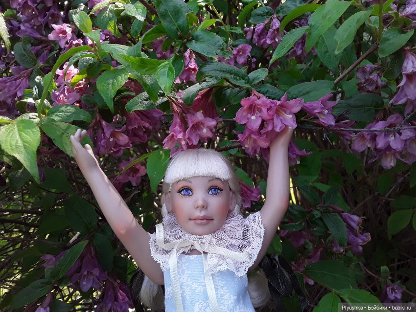 Сирень в цвету. Когда идёт дождь. И когда светит солнце