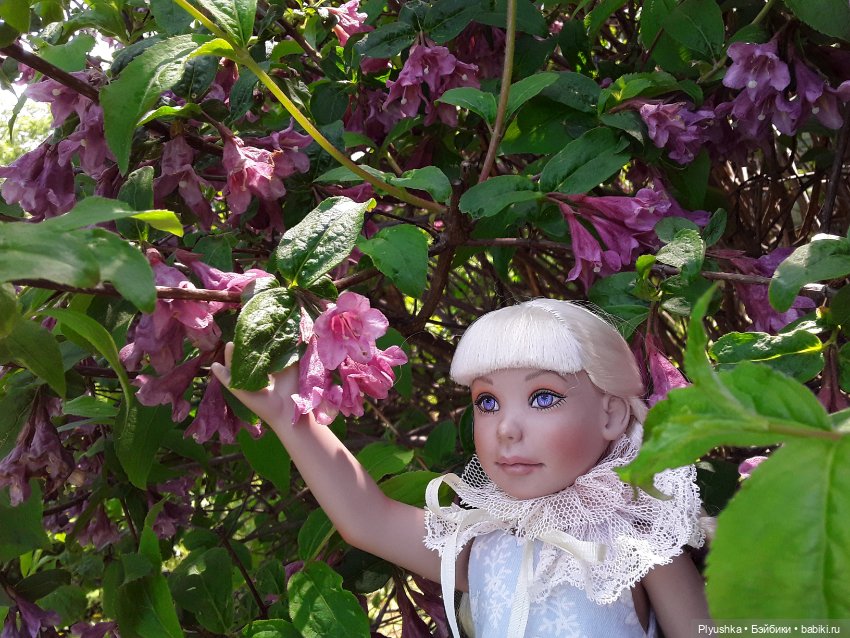 Сирень в цвету. Когда идёт дождь. И когда светит солнце