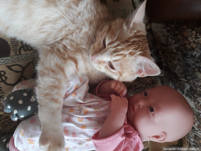 Арсюшка — Болталка и разговоры обо всем: жизнь