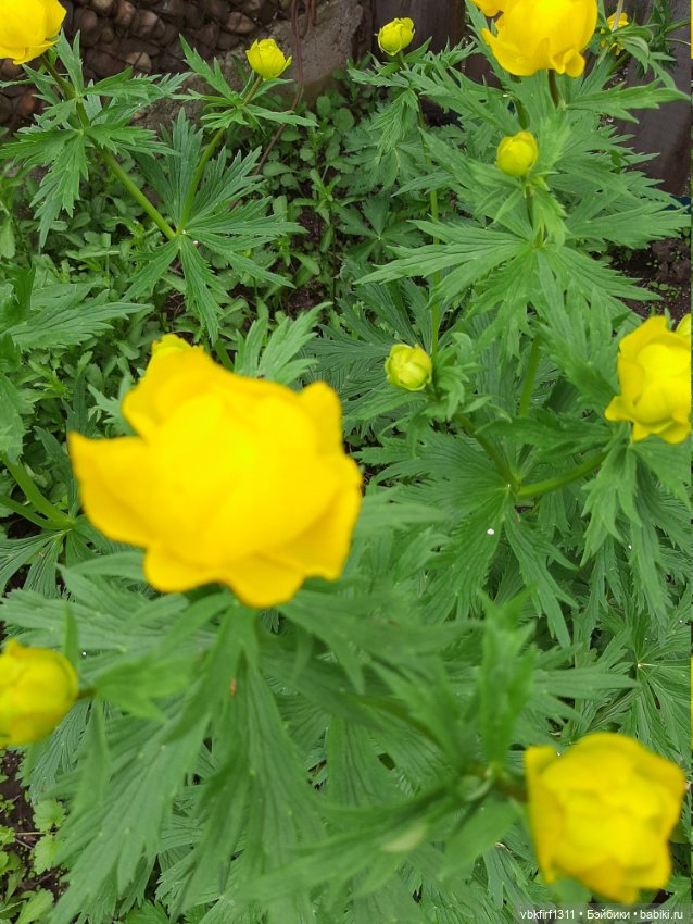 Заключительный день весны (фото 3)