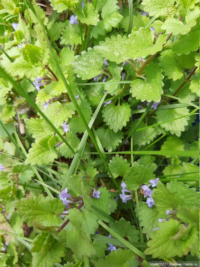 Заключительный день весны