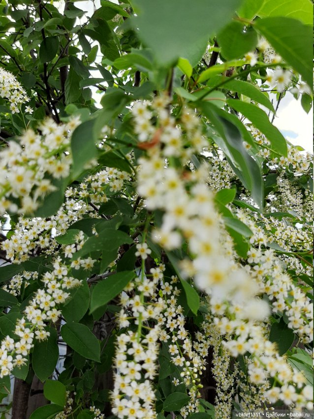 Заключительный день весны (фото 5)