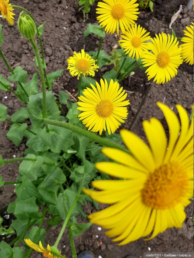 Заключительный день весны