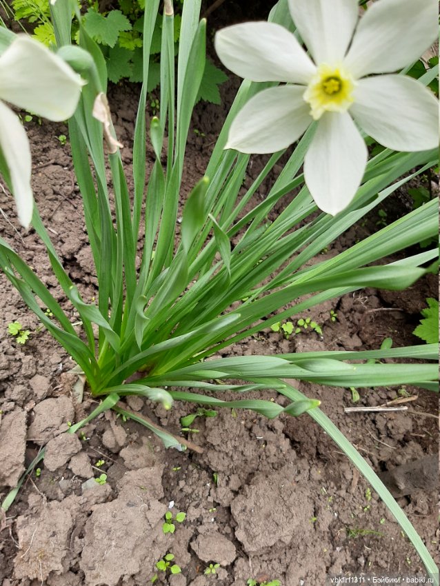 Заключительный день весны (фото 7)