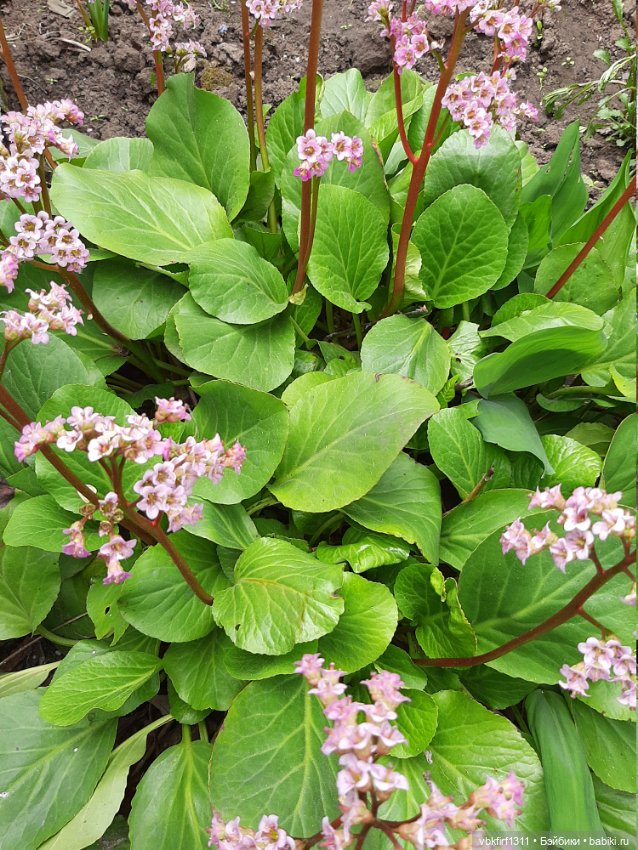 Заключительный день весны (фото 6)