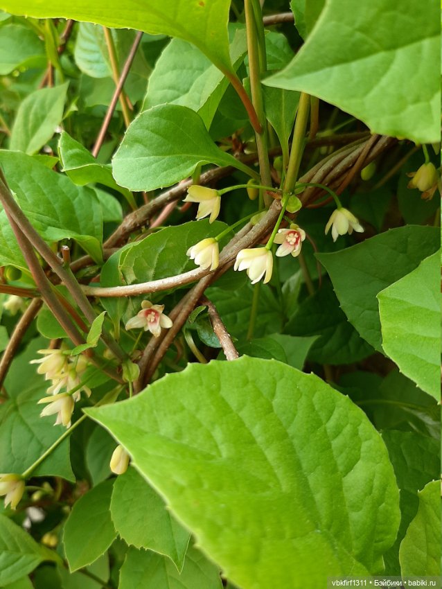 Заключительный день весны