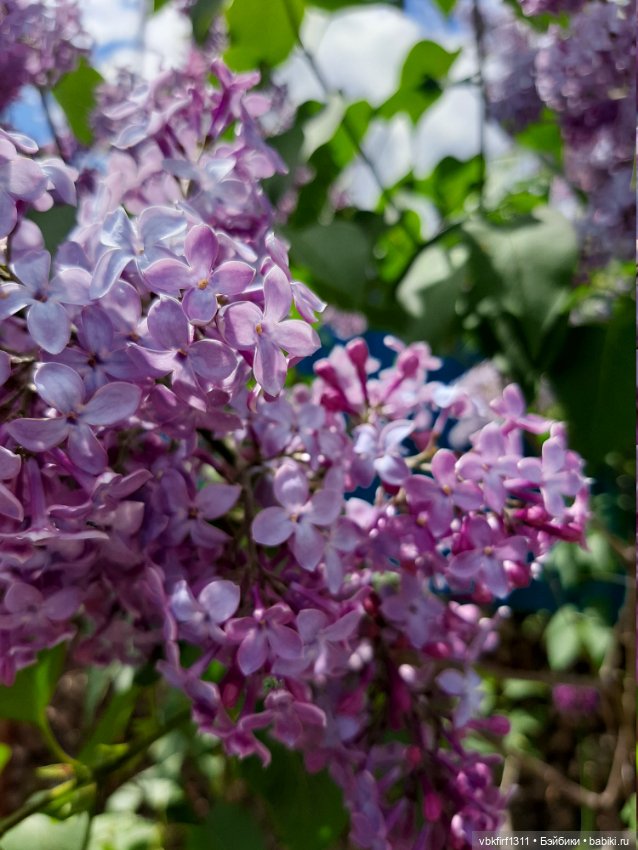 Заключительный день весны