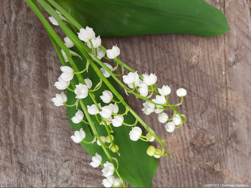 Заключительный день весны