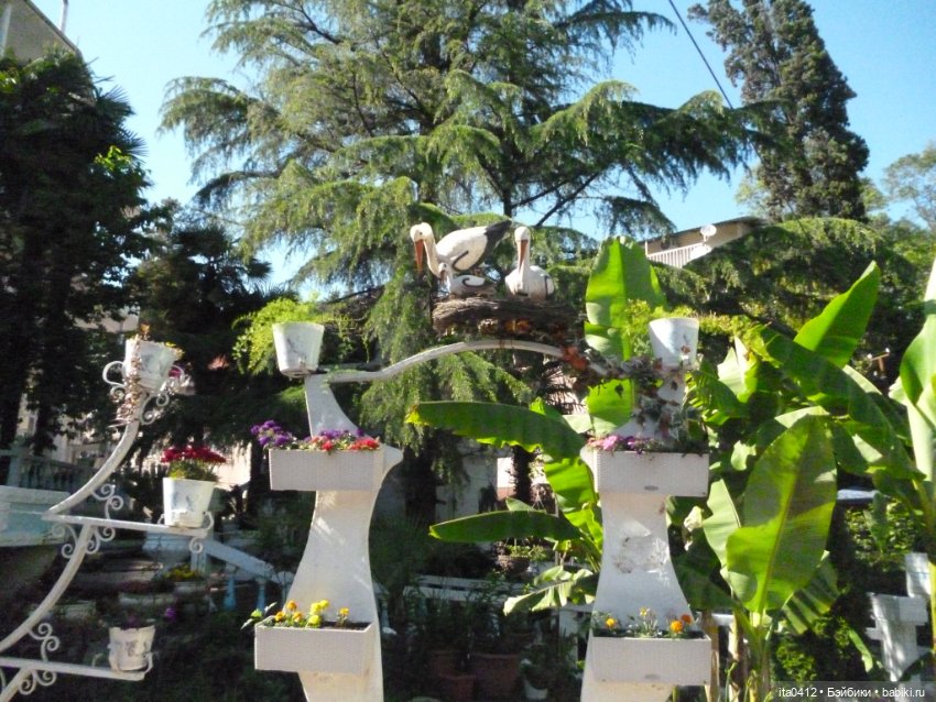 Прогулка по Хосте — Туризм и путешествия: фотоотчеты из поездок