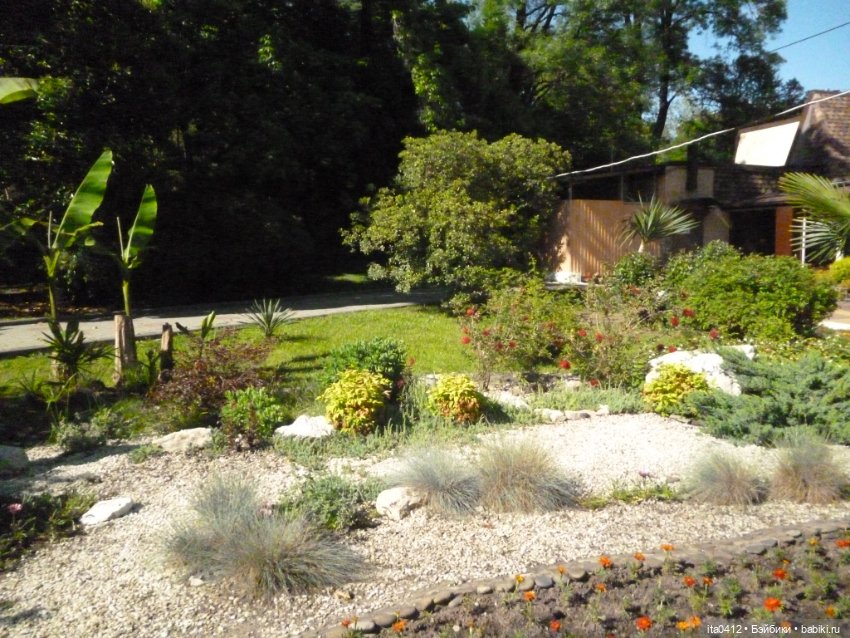 Прогулка по Хосте — Туризм и путешествия: фотоотчеты из поездок