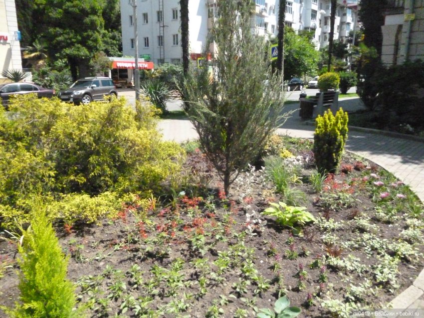 Прогулка по Хосте — Туризм и путешествия: фотоотчеты из поездок (фото 5)