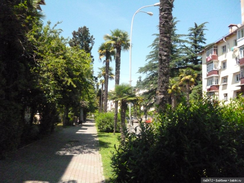 Прогулка по Хосте — Туризм и путешествия: фотоотчеты из поездок