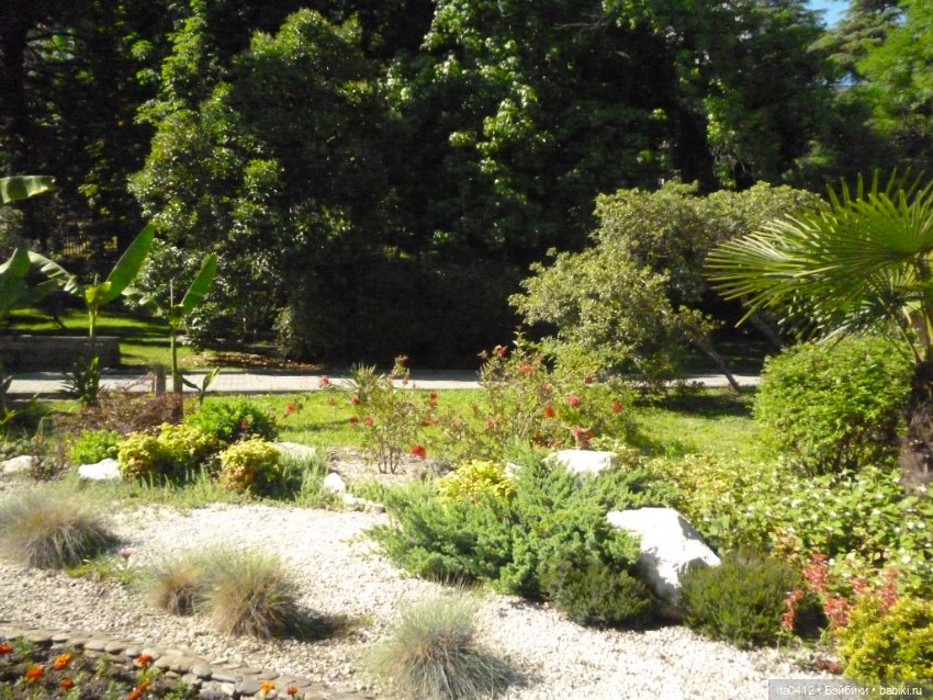 Прогулка по Хосте — Туризм и путешествия: фотоотчеты из поездок