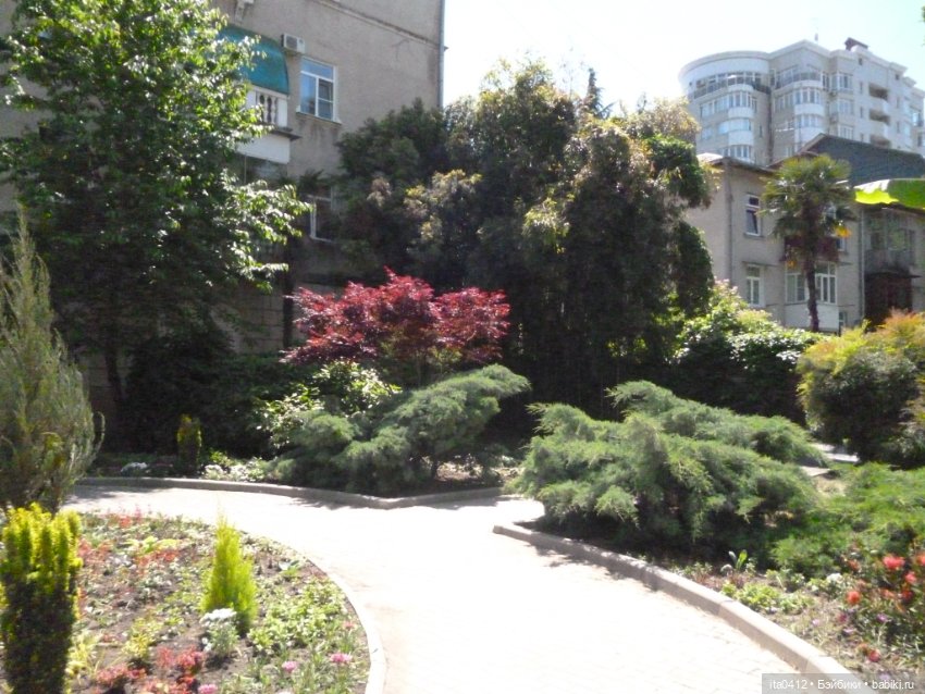 Прогулка по Хосте — Туризм и путешествия: фотоотчеты из поездок (фото 4)