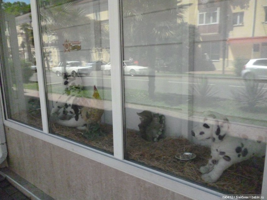 Прогулка по Хосте — Туризм и путешествия: фотоотчеты из поездок (фото 8)