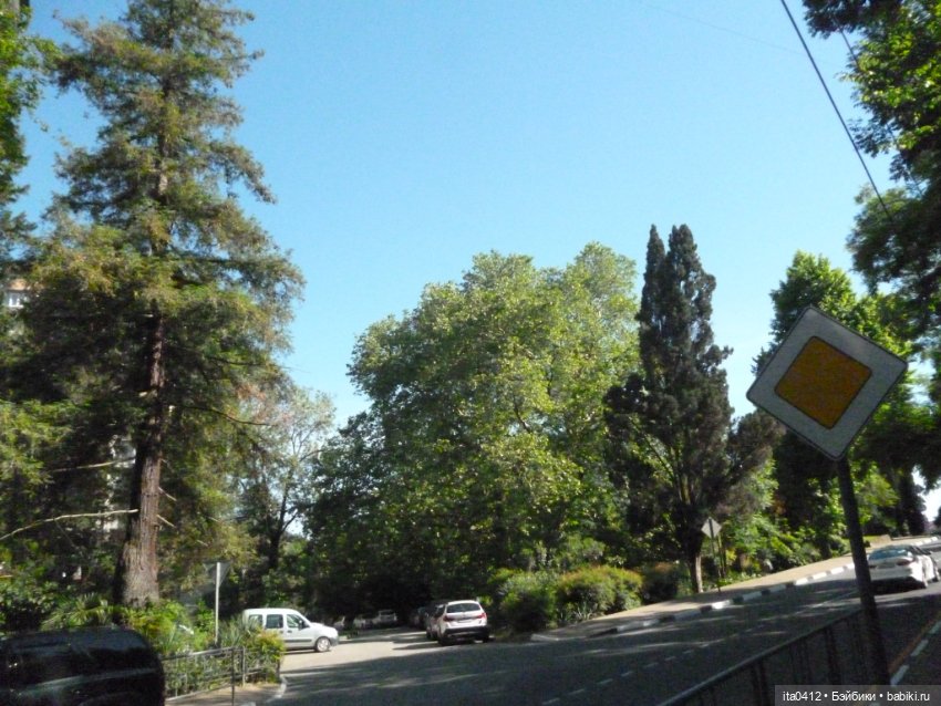 Прогулка по Хосте — Туризм и путешествия: фотоотчеты из поездок