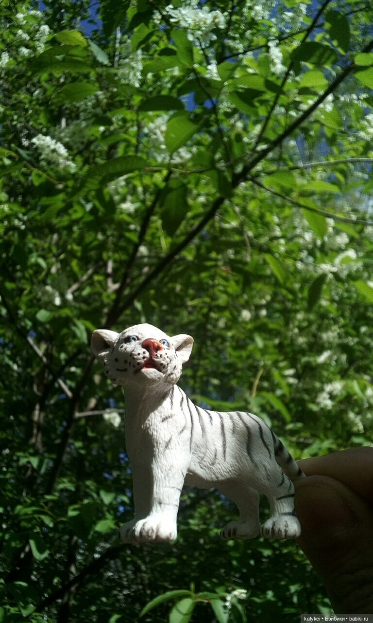 Лето и Тигры — Интересные игрушки и фигурки (разное): редкие (фото 9)