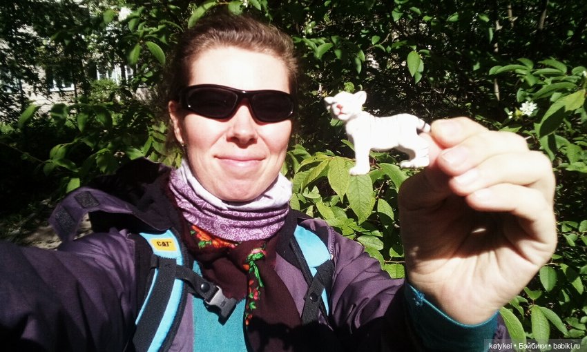 Лето и Тигры — Интересные игрушки и фигурки (разное): редкие