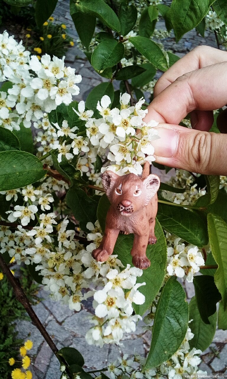 Лето и Тигры — Интересные игрушки и фигурки (разное): редкие (фото 8)