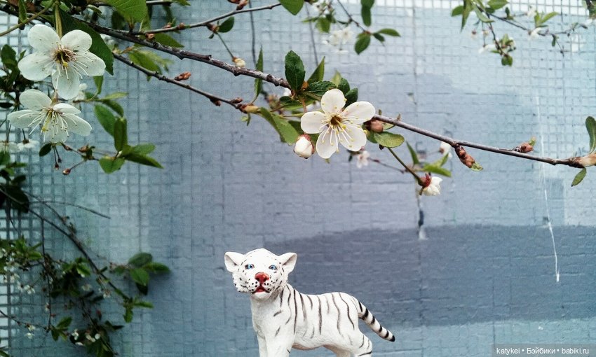 Лето и Тигры — Интересные игрушки и фигурки (разное): редкие