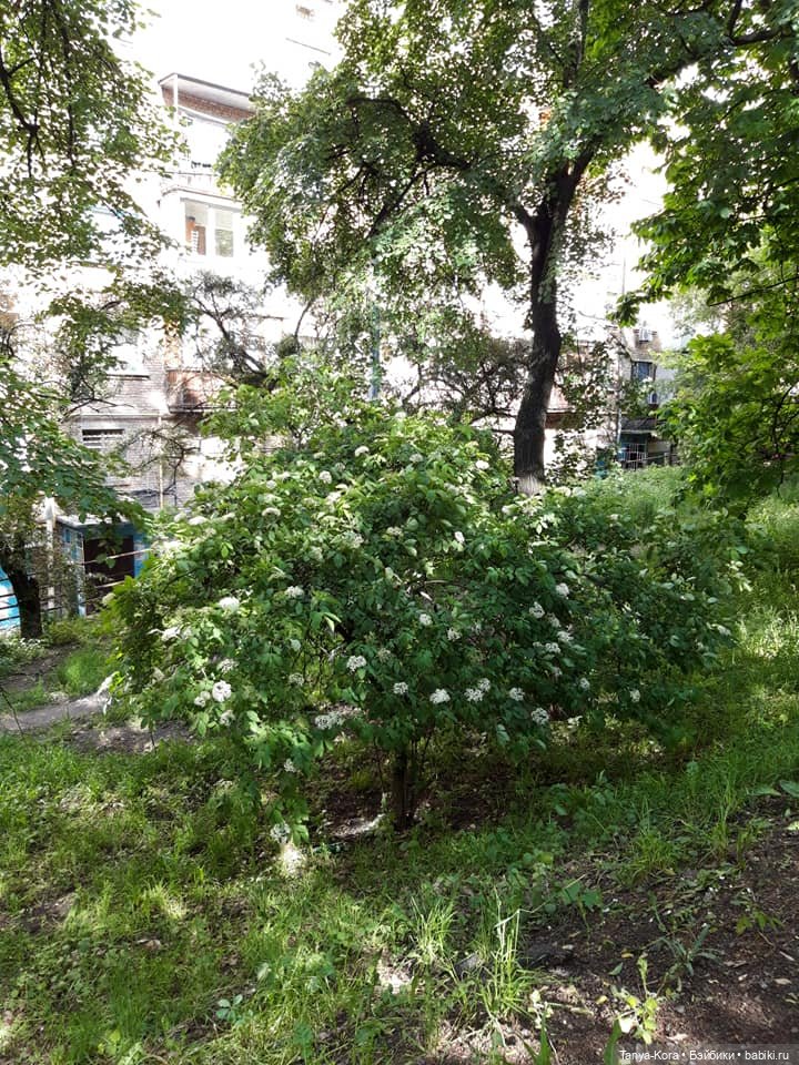 Как Линси путешествовала — Испанские куклы (разное): Vestida de Azul