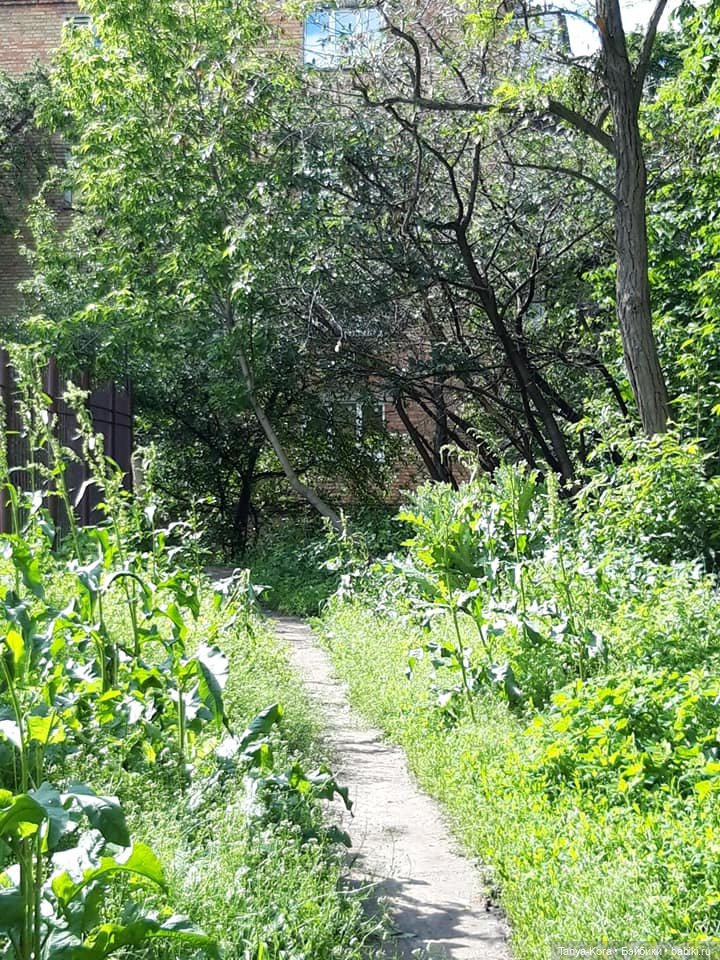 Как Линси путешествовала — Испанские куклы (разное): Vestida de Azul