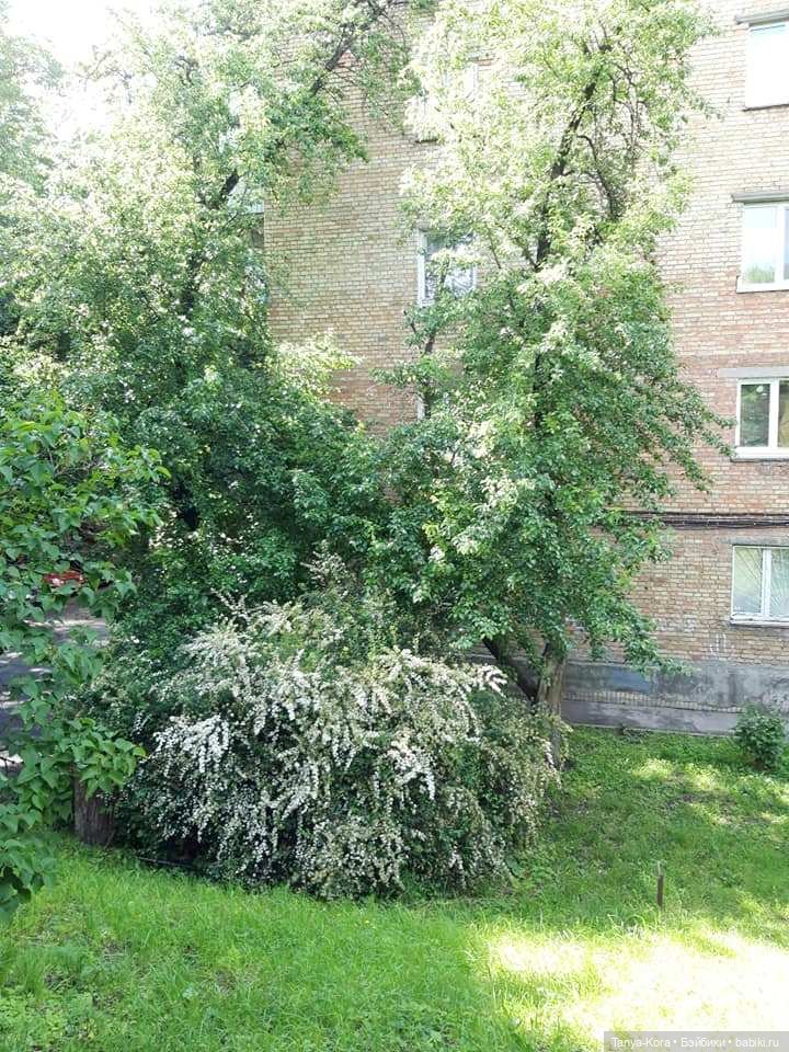 Как Линси путешествовала — Испанские куклы (разное): Vestida de Azul (фото 9)