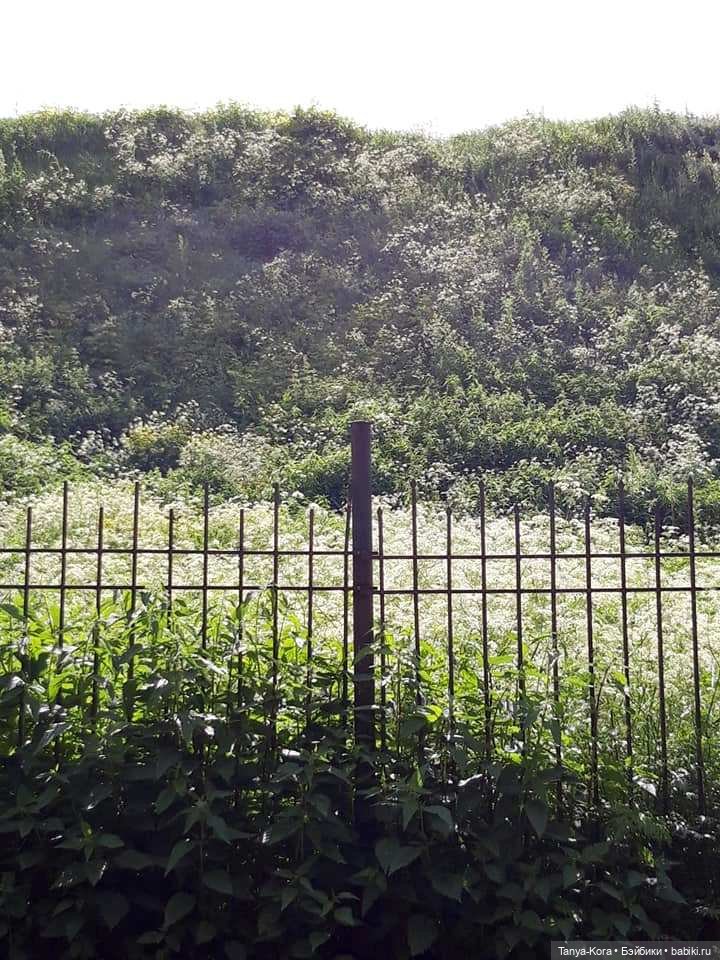 Как Линси путешествовала — Испанские куклы (разное): Vestida de Azul (фото 7)