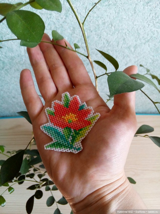 Здравствуйте бэйбики — Другие хобби и увлечения: сад (фото 10)