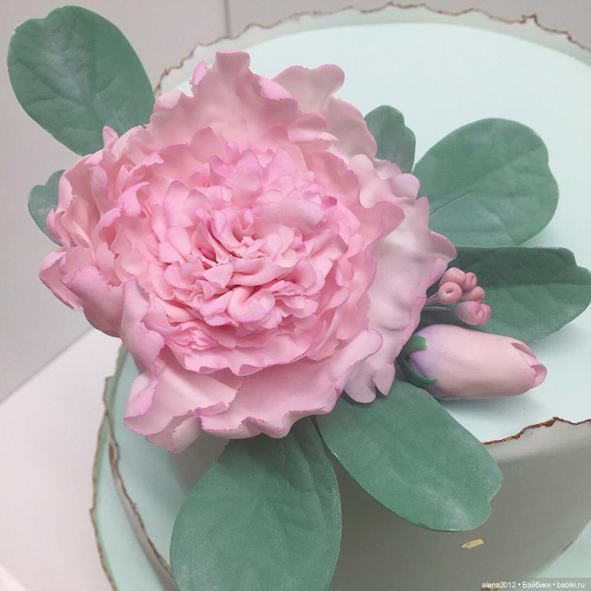 Тортики? Их, правда, едят? Правда