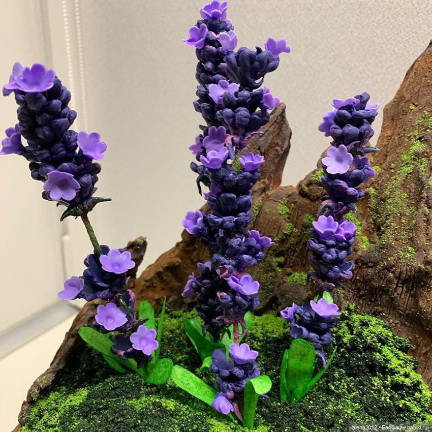 Тортики? Их, правда, едят? Правда