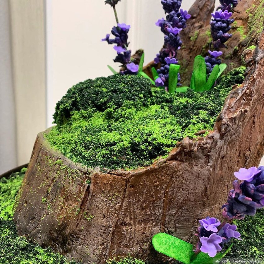 Тортики? Их, правда, едят? Правда