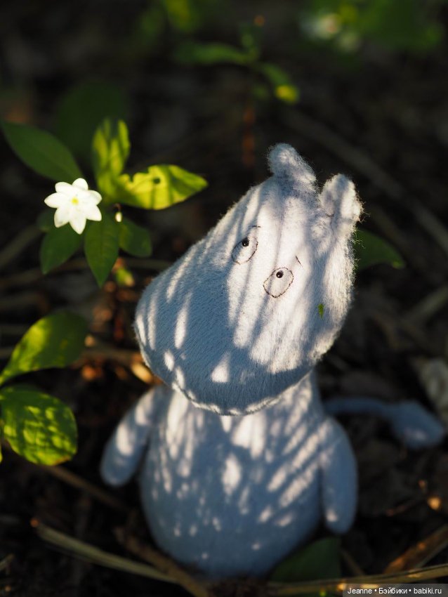 Знакомство с Муми-троллем (фото 5)