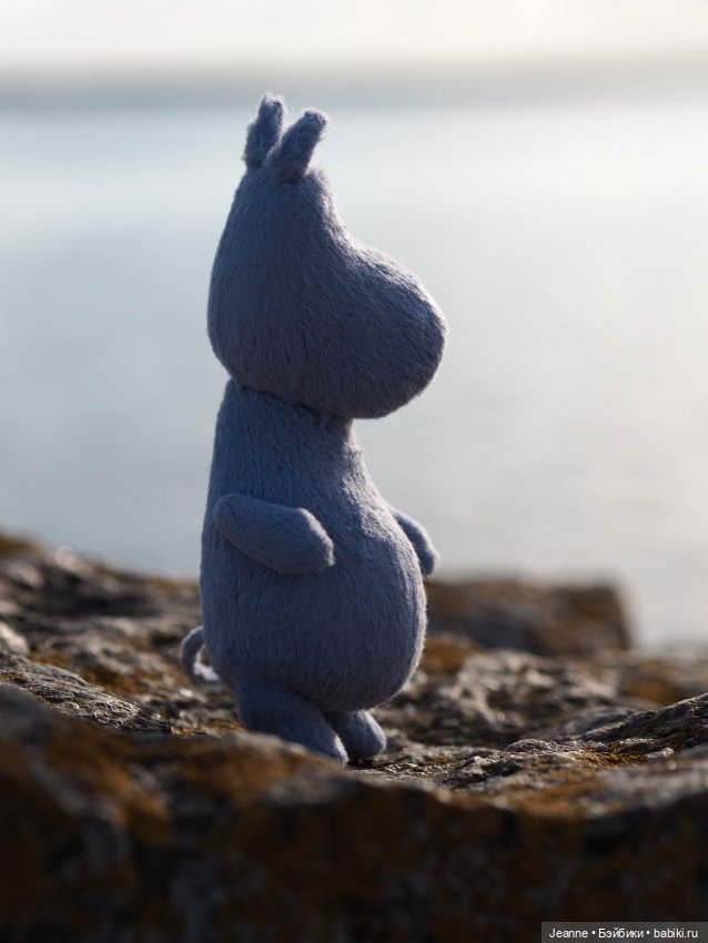 Знакомство с Муми-троллем (фото 8)