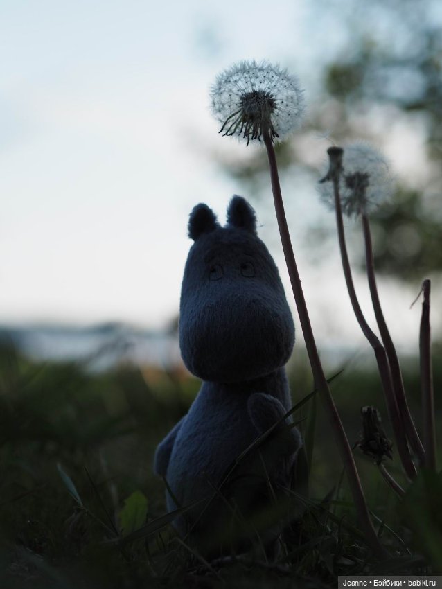 Знакомство с Муми-троллем (фото 10)