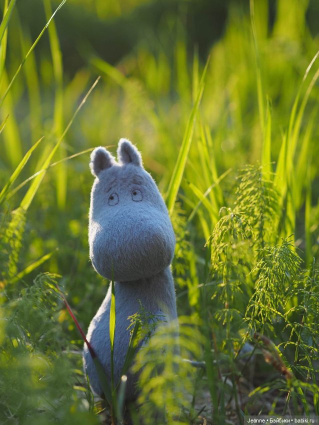 Знакомство с Муми-троллем (фото 2)