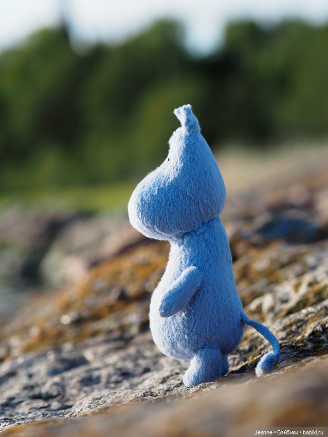 Знакомство с Муми-троллем (фото 9)