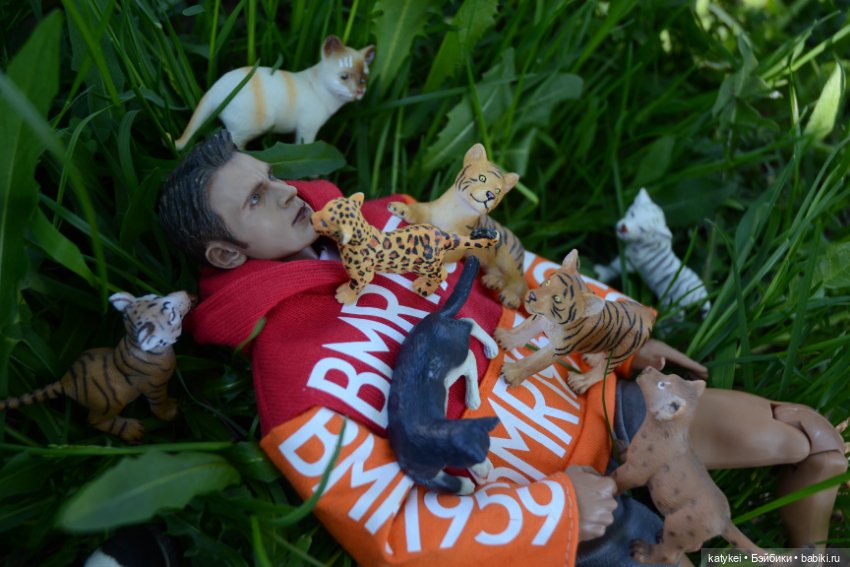 Когда в субботу хотел поспать подольше (фото 6)