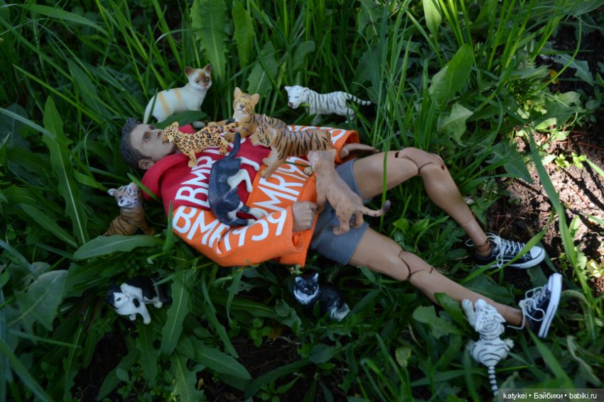 Когда в субботу хотел поспать подольше (фото 5)