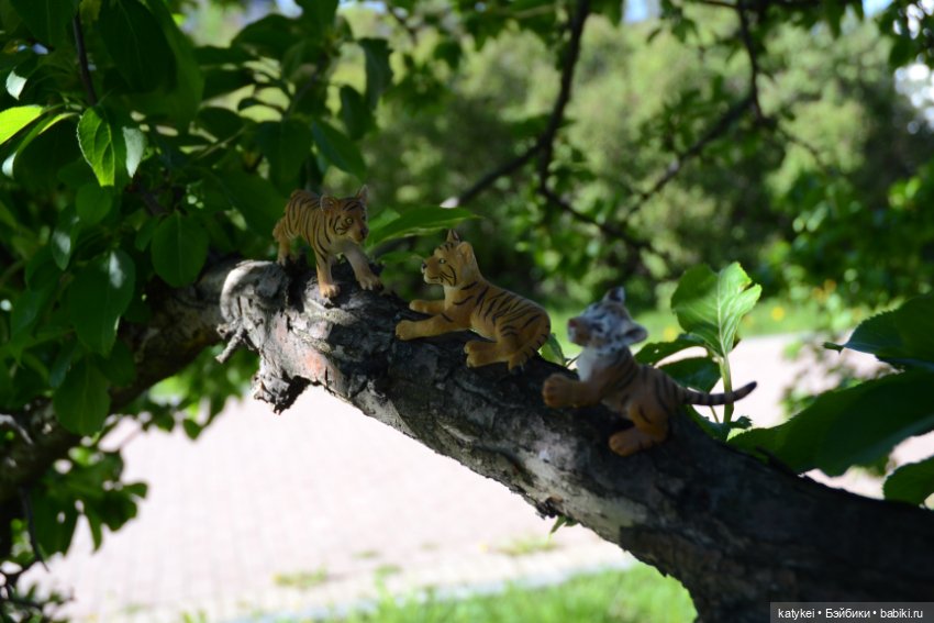 Когда в субботу хотел поспать подольше (фото 4)