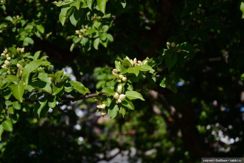 Когда в субботу хотел поспать подольше