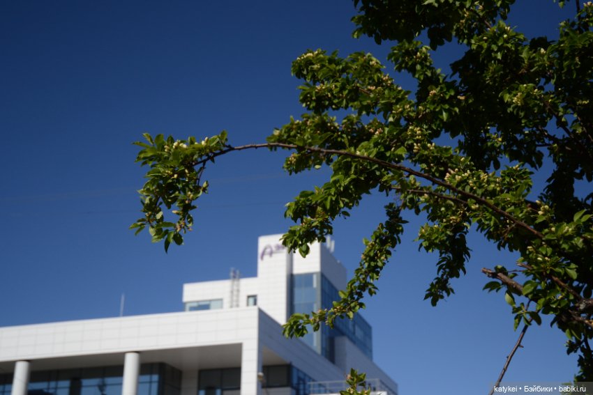 Когда в субботу хотел поспать подольше (фото 9)