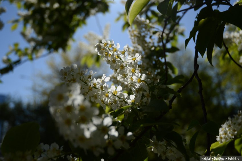 Когда в субботу хотел поспать подольше
