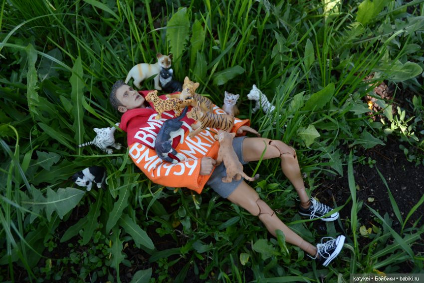 Когда в субботу хотел поспать подольше (фото 7)